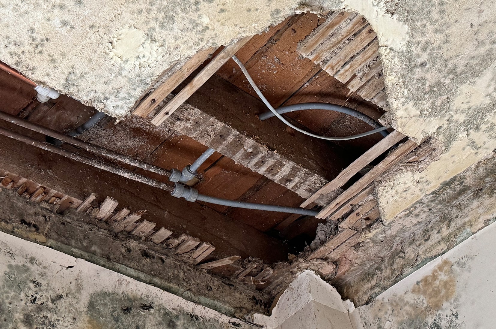Damp and Mould Remediation