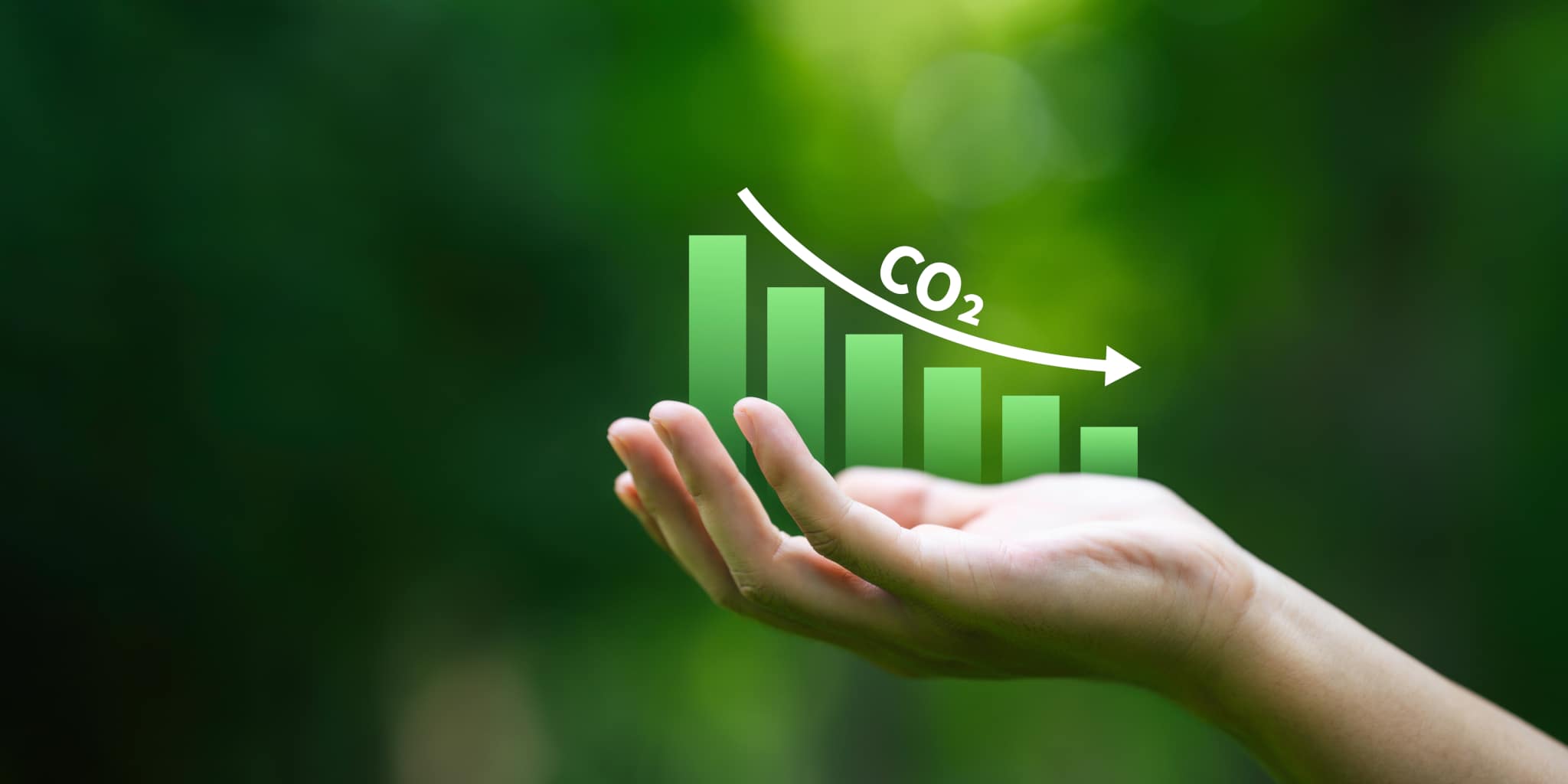 Environmental & Sustainability